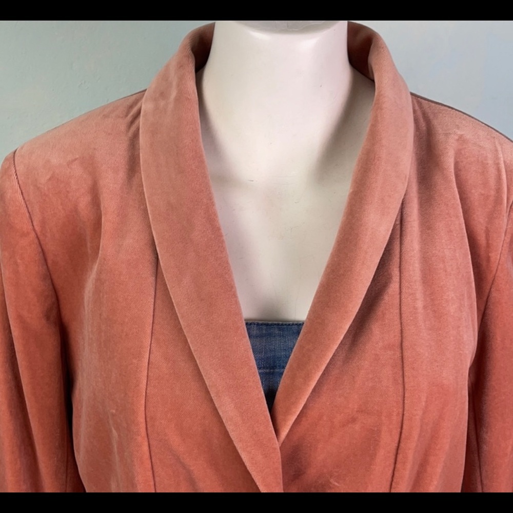 Blush pink velvet Waist Coat Blazer Victorian steam punk plus size 14 Vintage